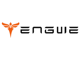 Engwe Coupons